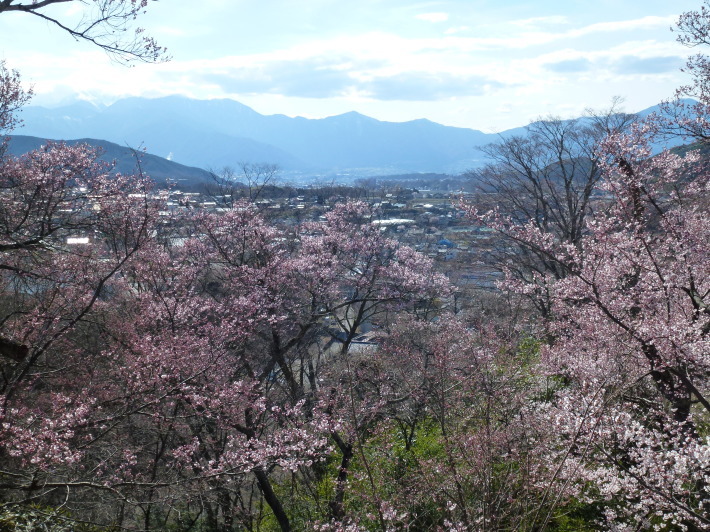 JRで行く北信越桜の6名城めぐり　3日間_d0347025_22351841.jpg