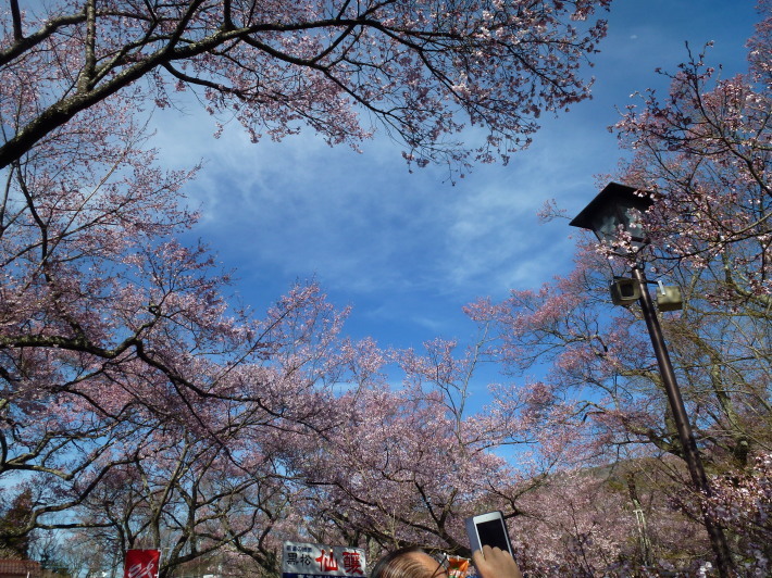 JRで行く北信越桜の6名城めぐり　3日間_d0347025_22365266.jpg