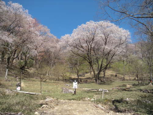 e0049740_21174987.jpg