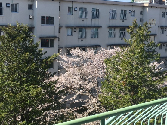 b0206845_12534212.jpeg