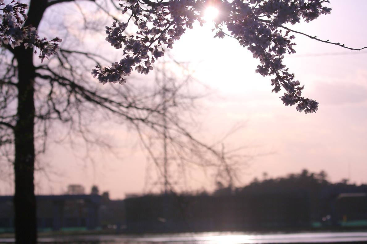 e0403850_11564527.jpg