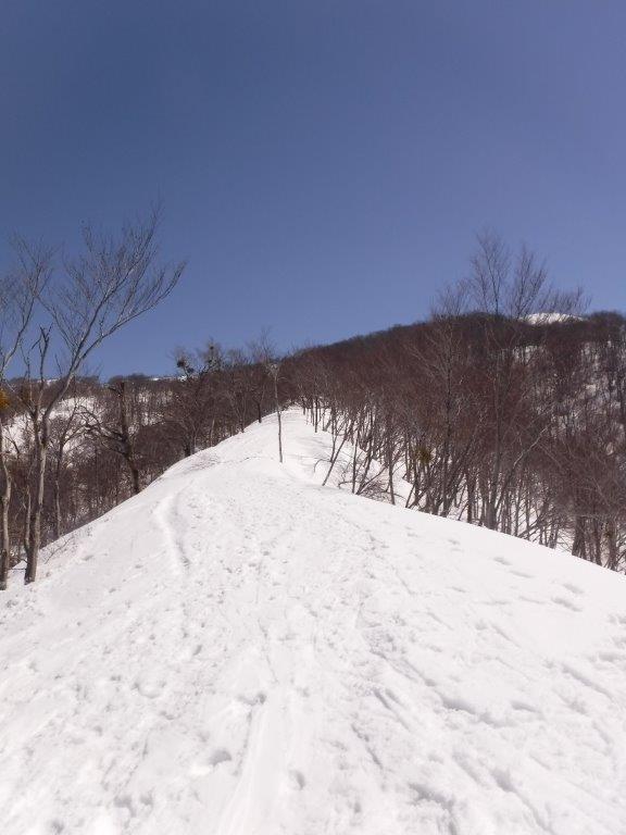 守門岳に大雪庇を見に行ってきました。_a0286351_18592456.jpg