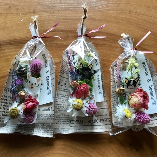 力いっぱいの植物にパワーもらう!_b0307951_00220576.jpg