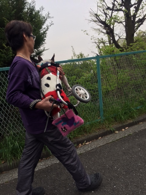 力いっぱいの植物にパワーもらう!_b0307951_00310904.jpg