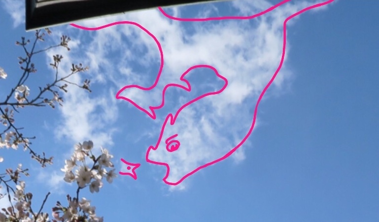 f0351853_03415356.jpeg