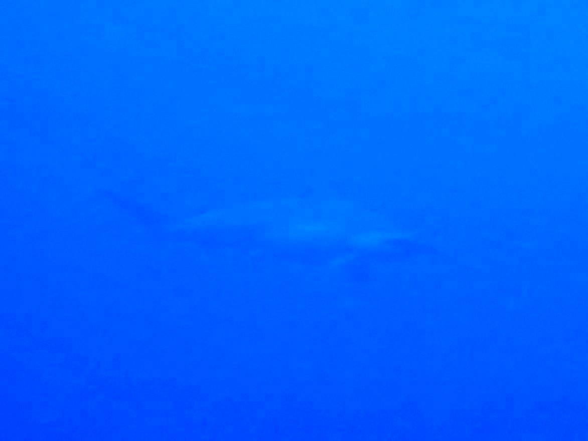 4月16日 逆潮だけど!!_d0113459_19435113.jpg