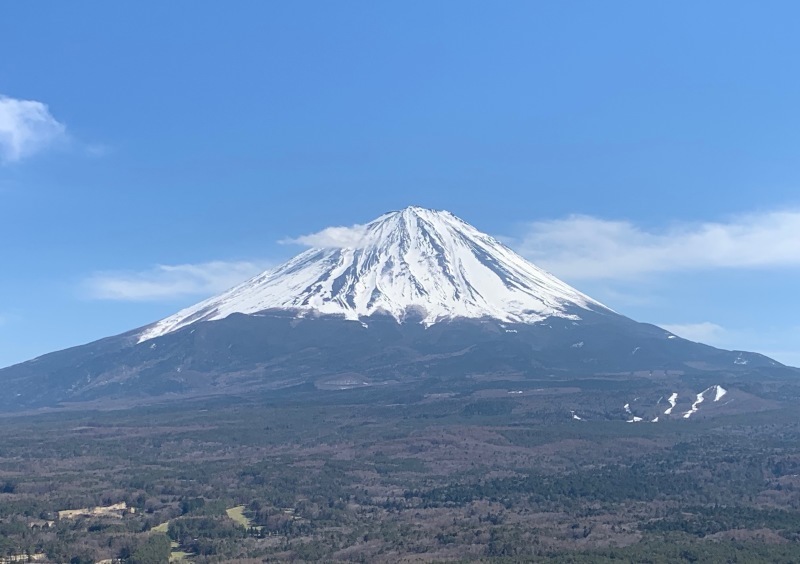 青木ヶ原樹海。（富士山）_c0140260_21241518.jpeg