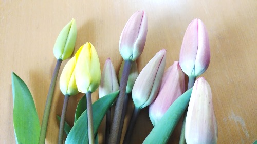 c0190960_21195523.jpg