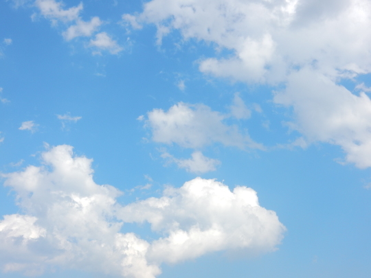 ’19,4,16(火)燃えるような樹木と空!_f0060461_10461434.jpg