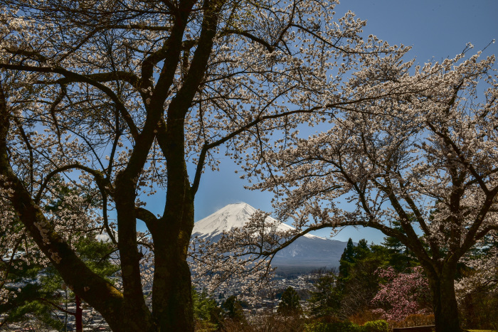 富士見孝徳公園_a0307264_20224195.jpg