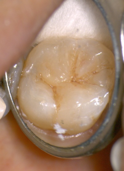 b0119466_00133645.jpg