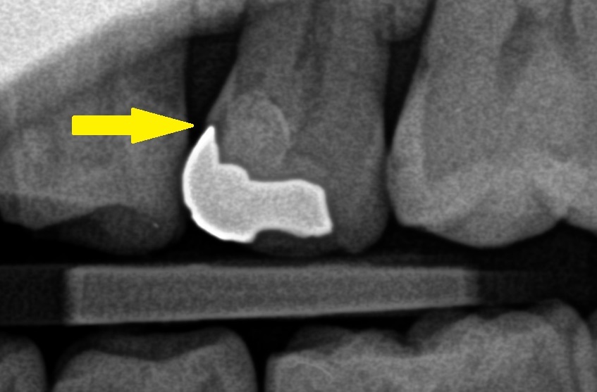 b0119466_00155883.jpg