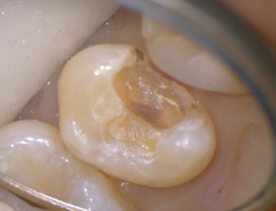 b0119466_00173929.jpg