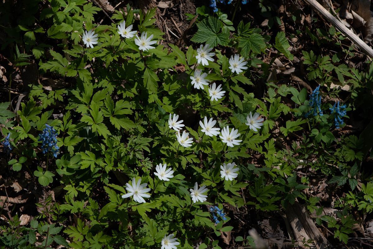 b0281366_20263655.jpg