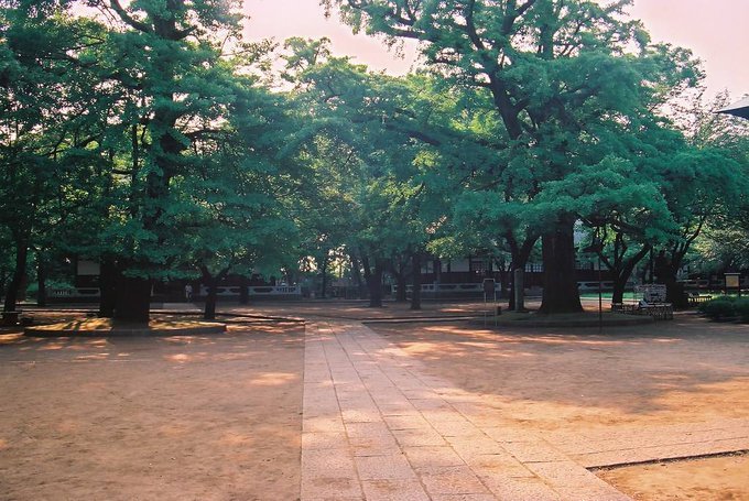 2019/4/9-15洗足池で最後の桜と勝海舟、青山霊園拾遺、古写真ランダム陳列・twitterに絶望したけどまとめ_b0116271_11570643.jpg