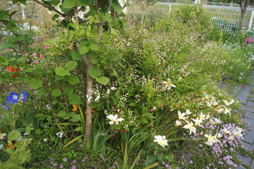 e0181373_20565061.jpg