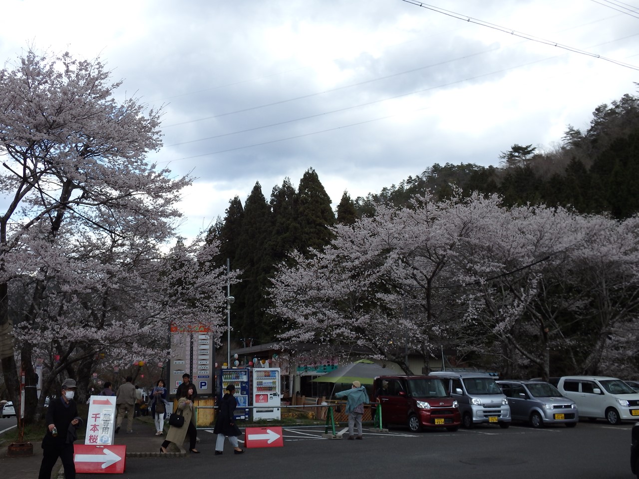 『寺尾ヶ原千本桜公園を歩いて』_d0054276_20561883.jpg