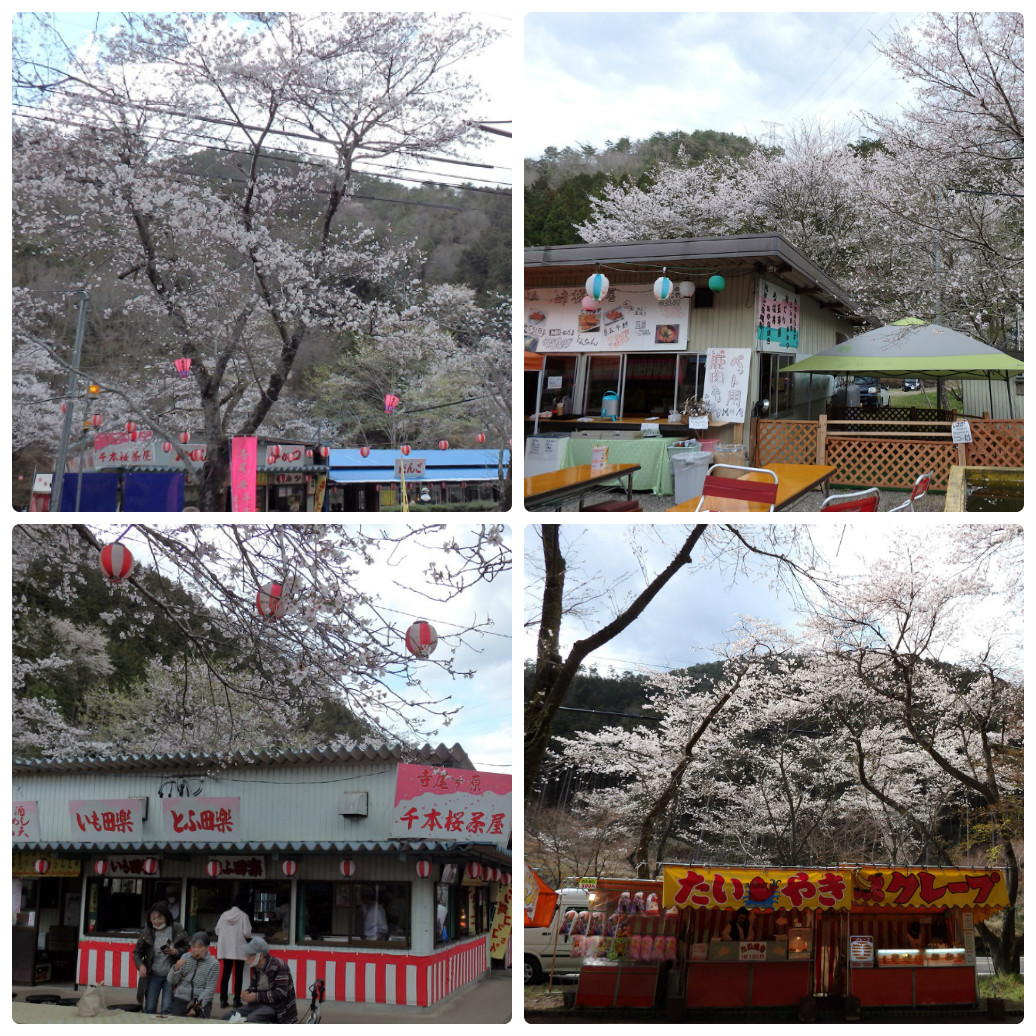 『寺尾ヶ原千本桜公園を歩いて』_d0054276_20564845.jpg