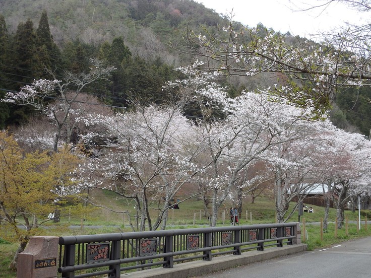 『寺尾ヶ原千本桜公園を歩いて』_d0054276_20583796.jpg