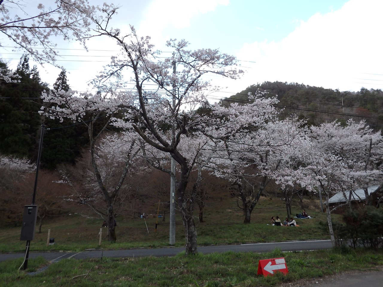 『寺尾ヶ原千本桜公園を歩いて』_d0054276_20584997.jpg