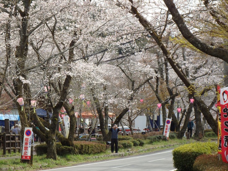 『寺尾ヶ原千本桜公園を歩いて』_d0054276_210204.jpg