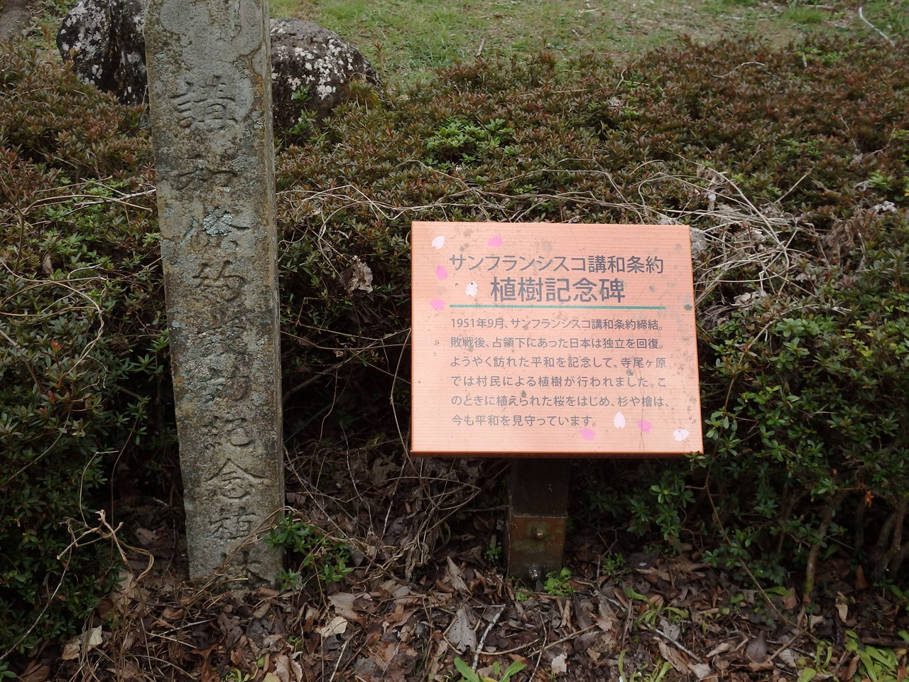 『寺尾ヶ原千本桜公園を歩いて』_d0054276_2104217.jpg