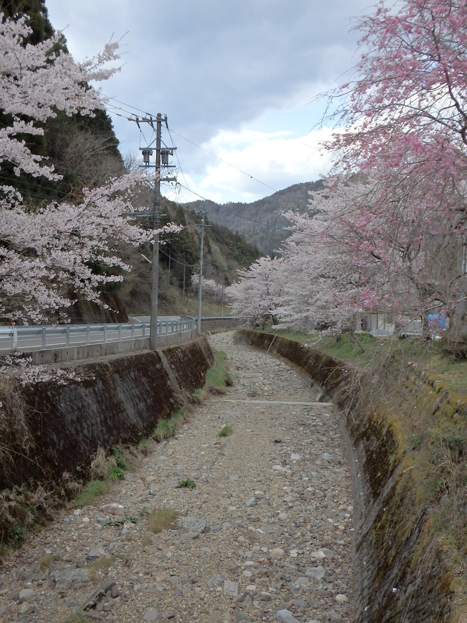 『寺尾ヶ原千本桜公園を歩いて』_d0054276_2134041.jpg