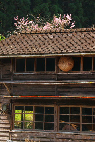 d0126577_20431483.jpg