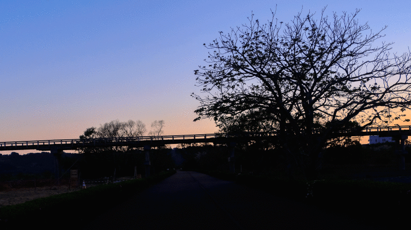 e0243382_16073739.gif