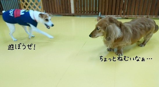 ごろーーん_f0357682_13033616.jpg