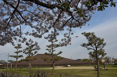c0229483_9584136.jpg