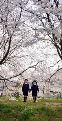 満開の桜へ......可愛らしい二人の笑顔の写真も....._b0194185_15315542.jpg