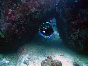 f0144385_11285832.jpg