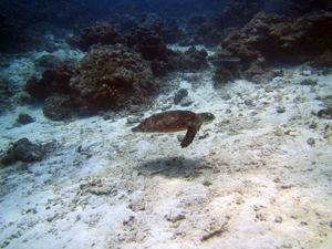 f0144385_11285896.jpg