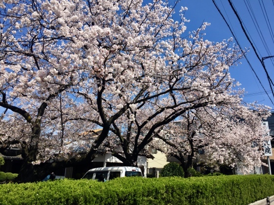 a0258686_06532087.jpeg