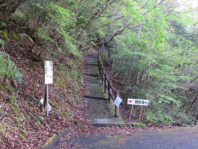 藤河内渓谷、観音滝、立松谷から木山内岳。_f0357487_23430991.jpg