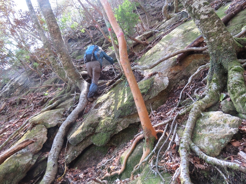 藤河内渓谷、観音滝、立松谷から木山内岳。_f0357487_23541671.jpg