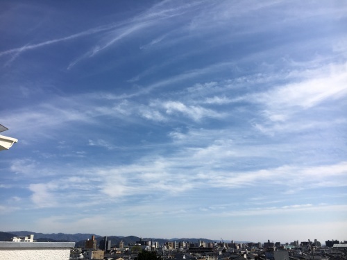 ほっこり_f0347891_20473241.jpeg