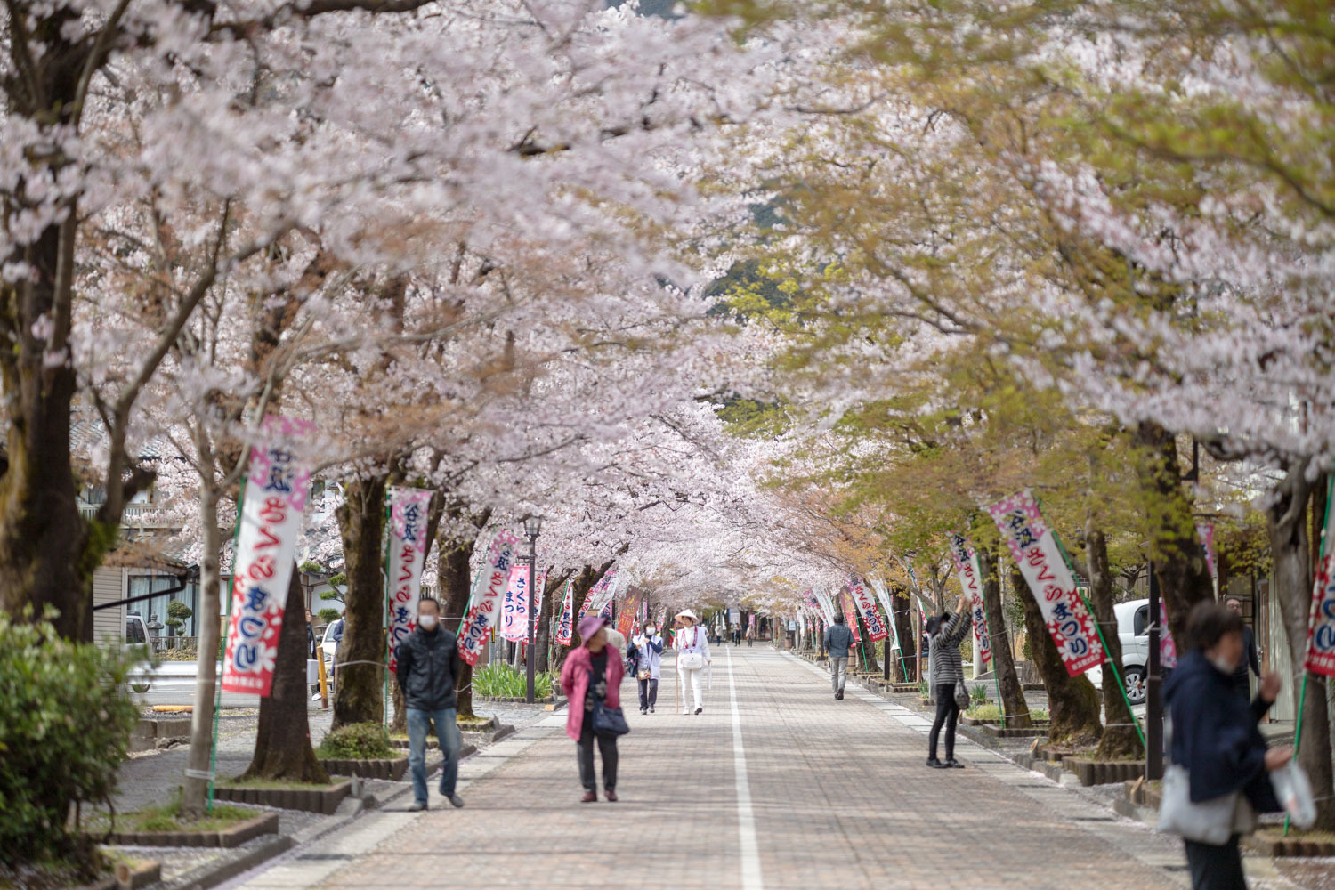 谷汲山華厳寺_b0126495_20485590.jpg