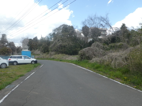 2０19年4月17日　　沖工会以前のウォーキング　　尾瀬沼　霞ヶ浦帆引き船　孫の地鎮祭から　その10_d0249595_13495299.jpg