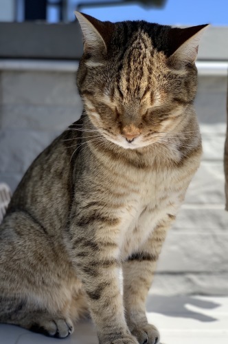 リセット_e0358096_15574725.jpeg
