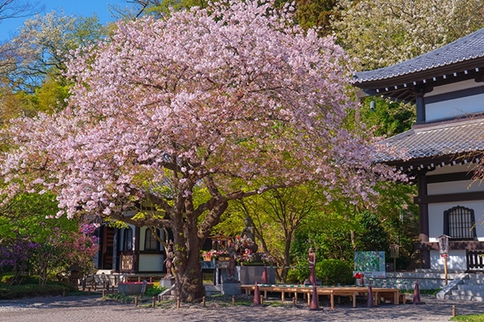 b0145398_23284437.jpg