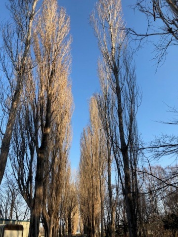 北の大地_a0335202_14540165.jpg