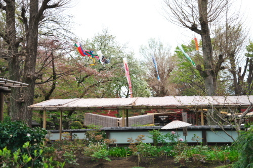 a0263109_14314636.jpg