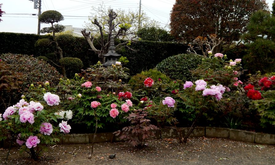 b0352112_16505872.jpg