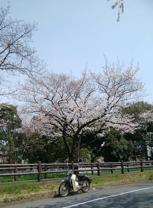 d0118616_12182687.jpg