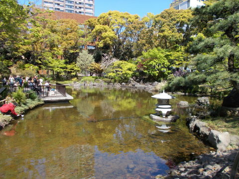 a0116217_18584154.jpg