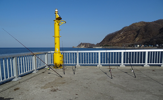 a0155319_21152742.jpg