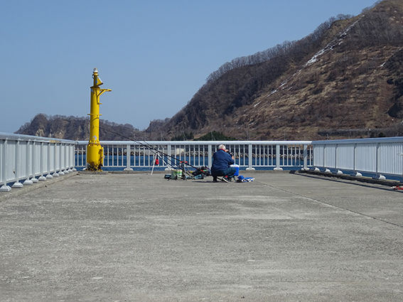 a0155319_21153897.jpg