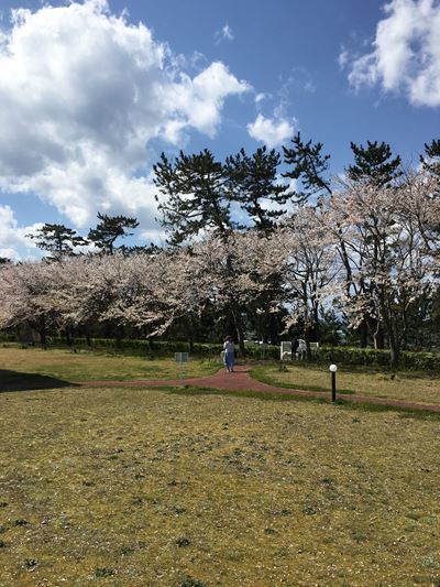 ハウルの12歳バースデー旅行（ビワドッグ2019）…②_c0114121_01261390.jpg